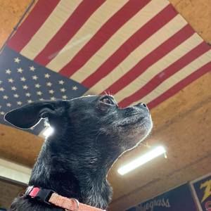 Meet your Posher, Matt